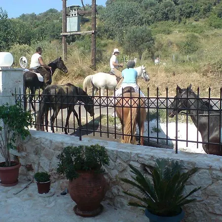 Lazaratos 2* Kouvalata