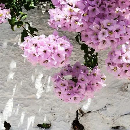 Lazaratos Appart hôtel 2*